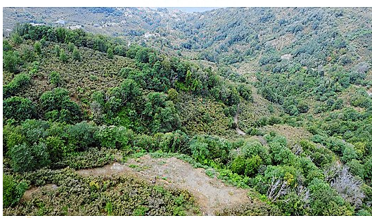 MABEL ,DEN ÇAYTEPE MH.BOSTA MEVKİSİNDE DENİZ MANZARALI ARSA